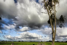 爱游戏官方入口-金牌之路：美国健儿的巅峰征服录