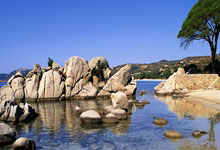 爱游戏下载-塔斯马尼亚联队长激励全队，挑战强敌士气高昂