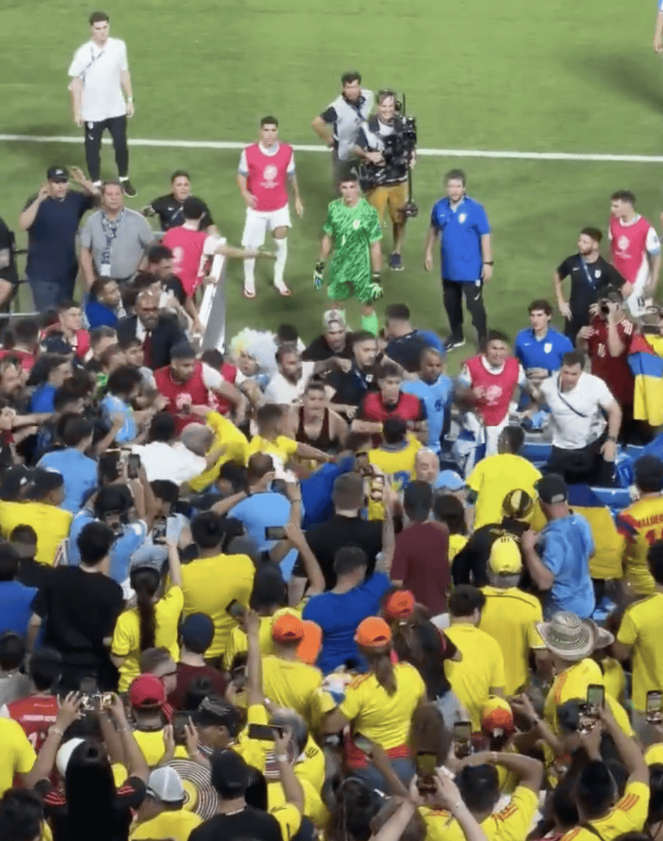 国际大赛再次掀起热潮，球迷激情致胜喝彩庆祝的简单介绍