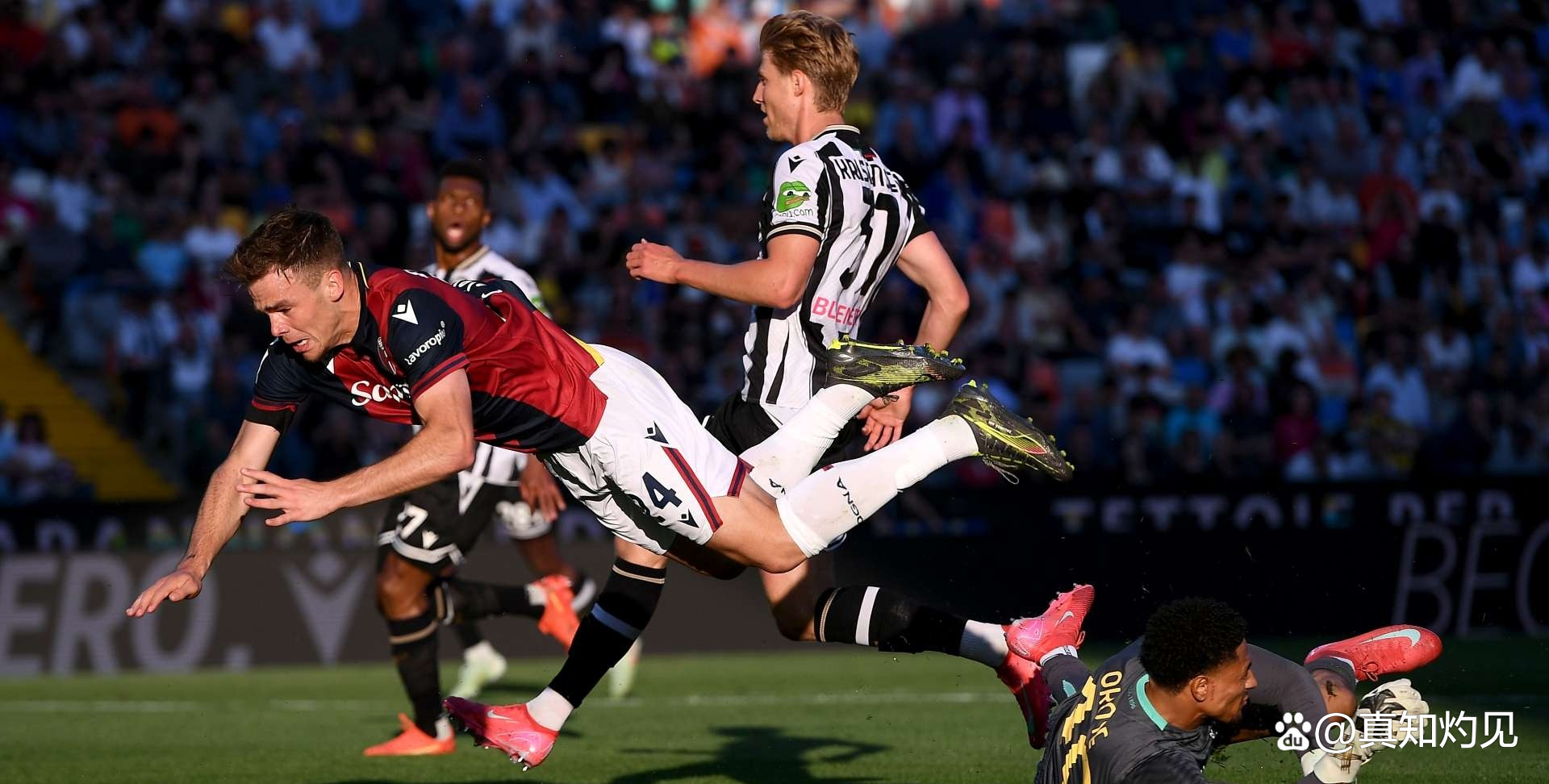 乌迪内斯客场战胜博洛尼亚，积分稳定